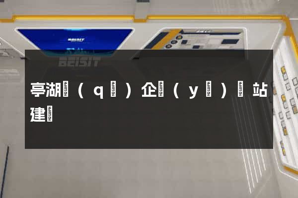 亭湖區(qū)企業(yè)網站建設