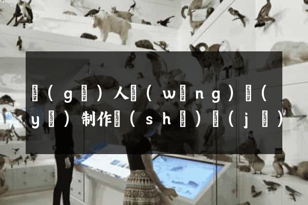 個(gè)人網(wǎng)頁(yè)制作設(shè)計(jì)