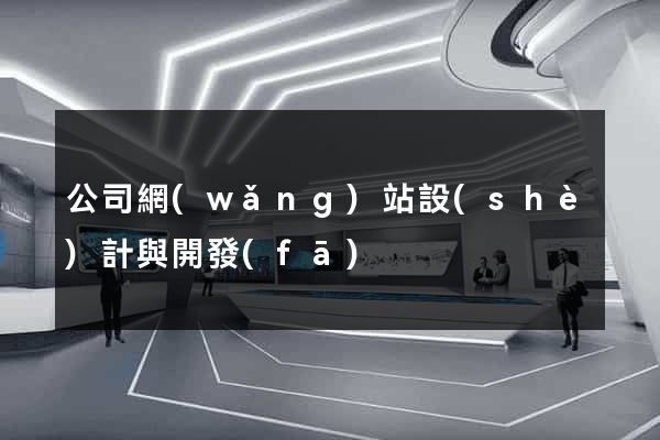 公司網(wǎng)站設(shè)計與開發(fā)