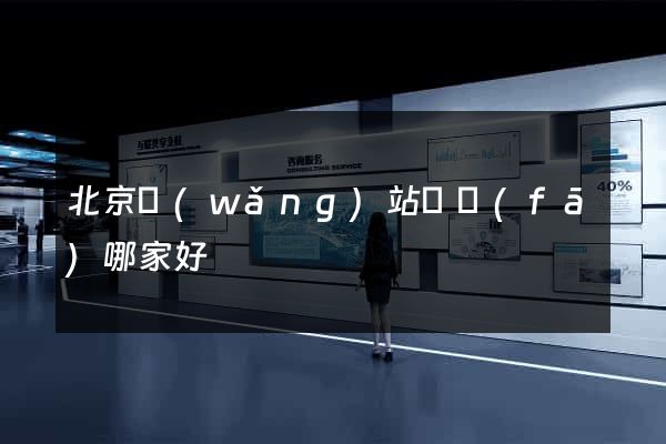 北京網(wǎng)站開發(fā)哪家好