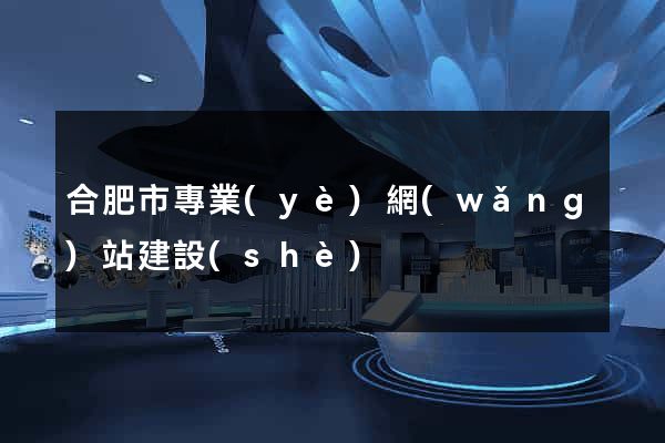 合肥市專業(yè)網(wǎng)站建設(shè)