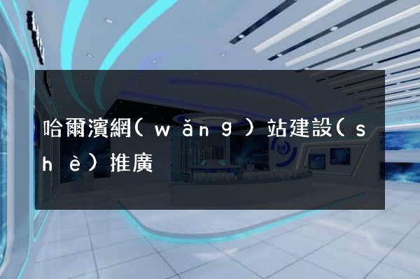 哈爾濱網(wǎng)站建設(shè)推廣