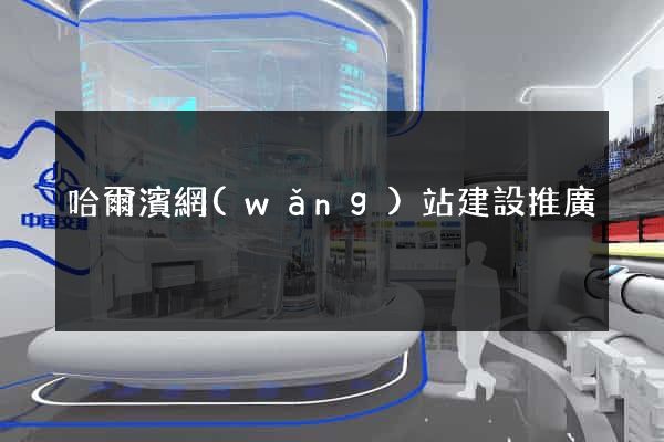 哈爾濱網(wǎng)站建設推廣