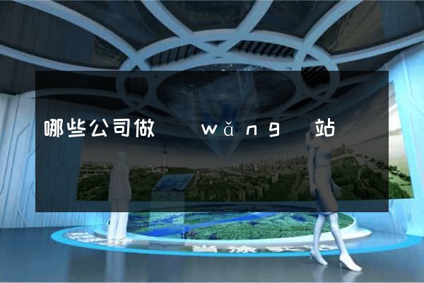 哪些公司做網(wǎng)站