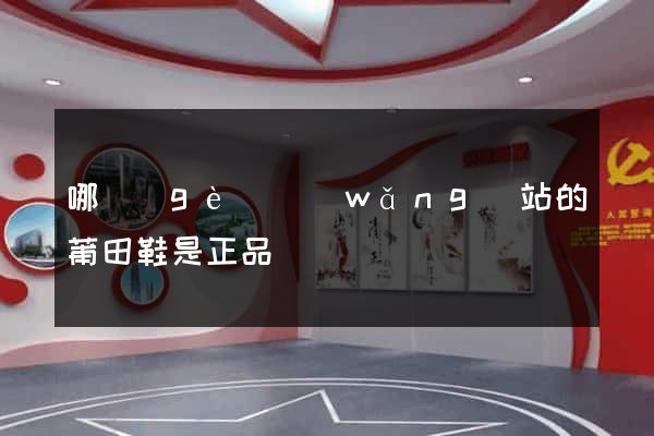 哪個(gè)網(wǎng)站的莆田鞋是正品