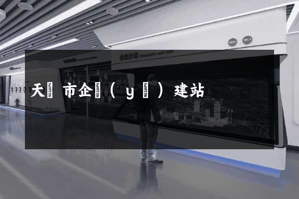 天長市企業(yè)建站