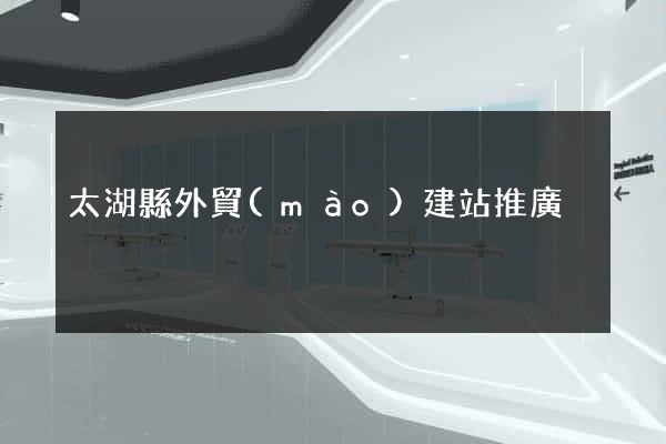 太湖縣外貿(mào)建站推廣