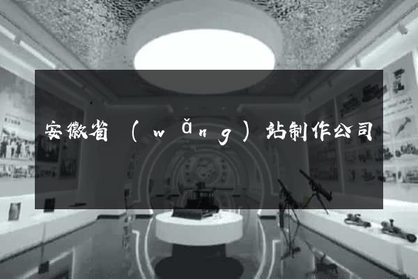 安徽省網(wǎng)站制作公司