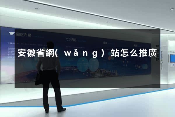 安徽省網(wǎng)站怎么推廣