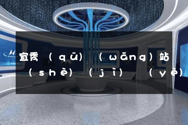 宜秀區(qū)網(wǎng)站設(shè)計(jì)專業(yè)的公司