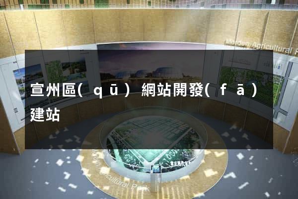 宣州區(qū)網站開發(fā)建站