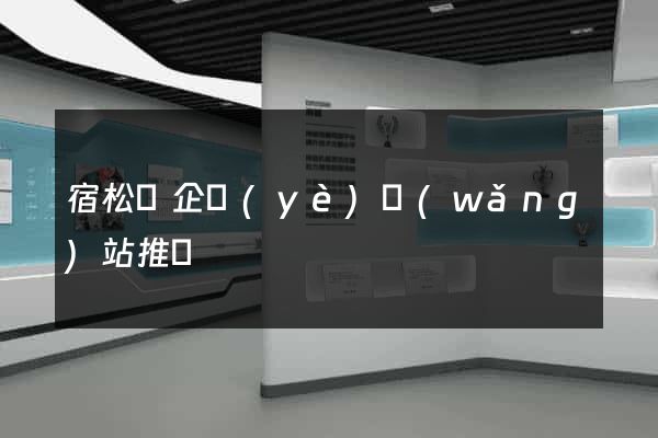 宿松縣企業(yè)網(wǎng)站推廣