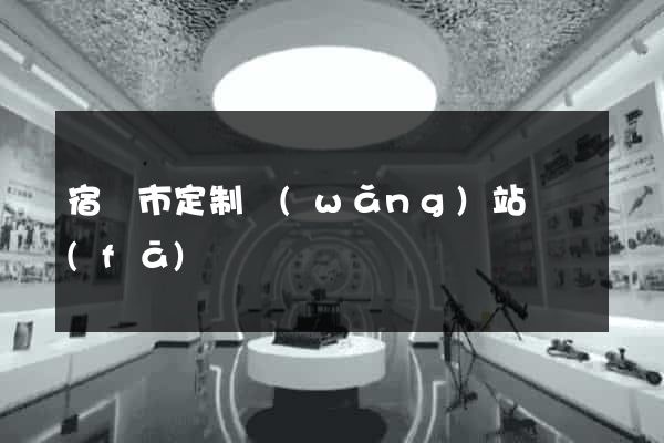 宿遷市定制網(wǎng)站開發(fā)