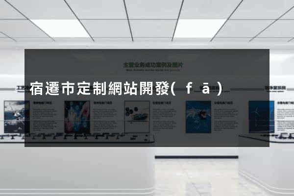 宿遷市定制網站開發(fā)