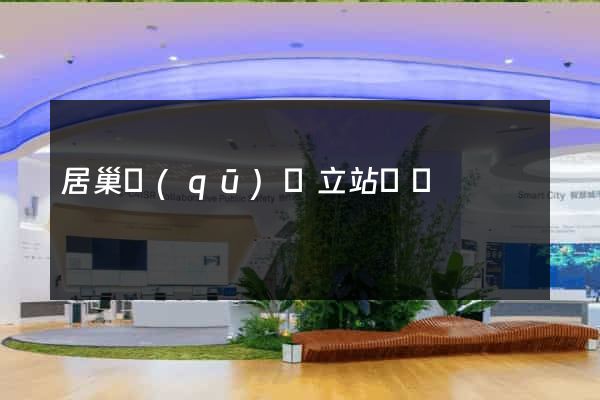 居巢區(qū)獨立站運營