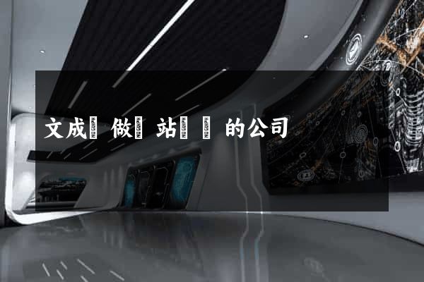 文成縣做網站設計的公司