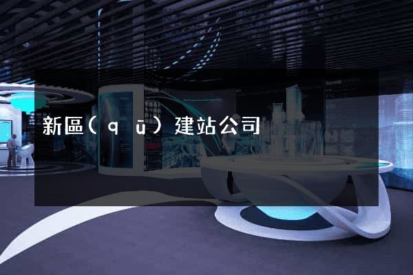 新區(qū)建站公司
