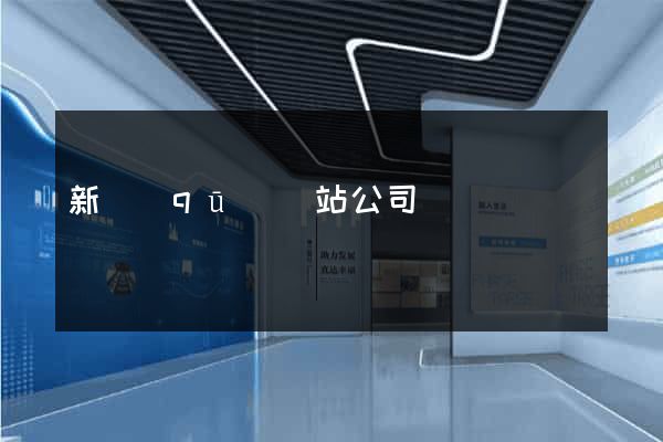 新區(qū)網站公司