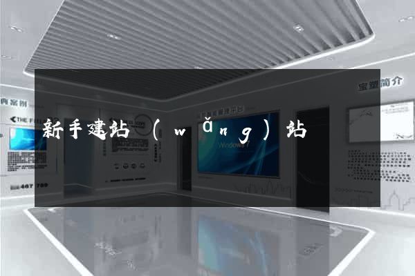 新手建站網(wǎng)站