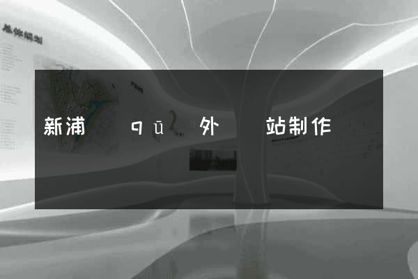 新浦區(qū)外貿網站制作