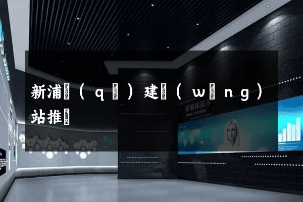 新浦區(qū)建網(wǎng)站推廣