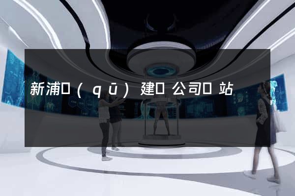 新浦區(qū)建設公司網站