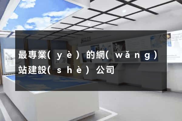 最專業(yè)的網(wǎng)站建設(shè)公司
