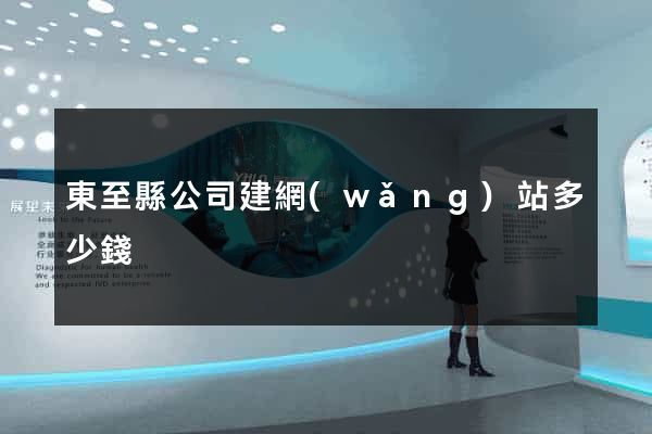 東至縣公司建網(wǎng)站多少錢