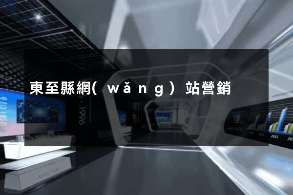 東至縣網(wǎng)站營銷