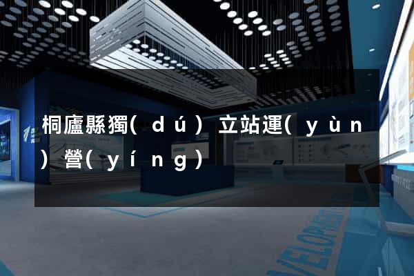 桐廬縣獨(dú)立站運(yùn)營(yíng)