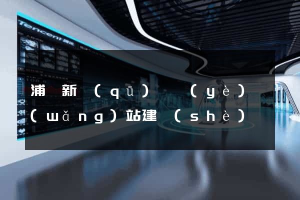 浦東新區(qū)專業(yè)網(wǎng)站建設(shè)