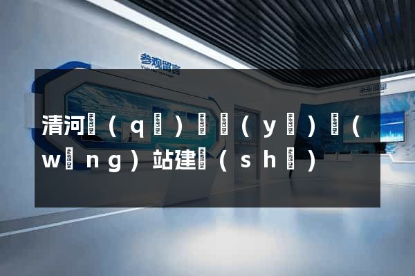 清河區(qū)專業(yè)網(wǎng)站建設(shè)