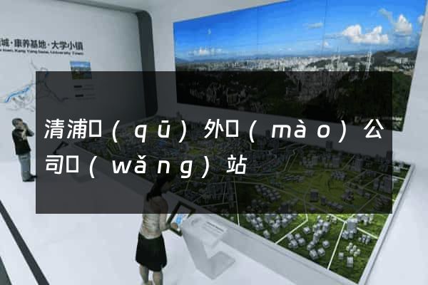 清浦區(qū)外貿(mào)公司網(wǎng)站