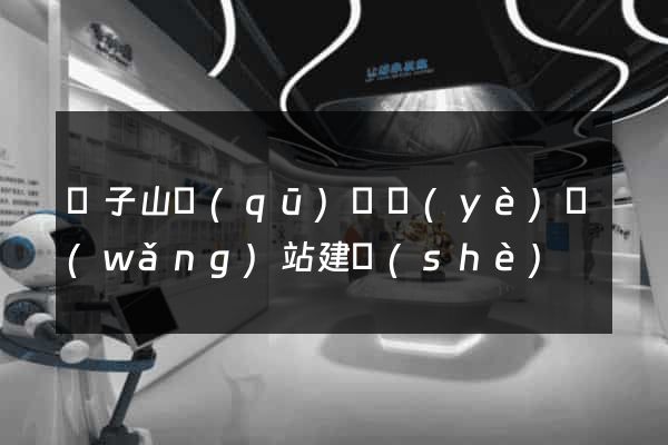 獅子山區(qū)專業(yè)網(wǎng)站建設(shè)