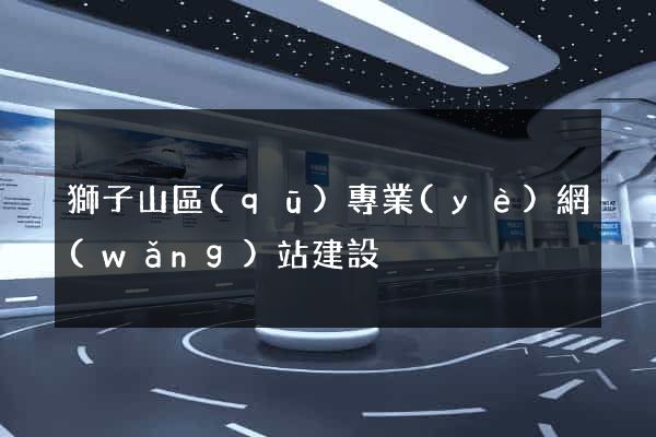 獅子山區(qū)專業(yè)網(wǎng)站建設