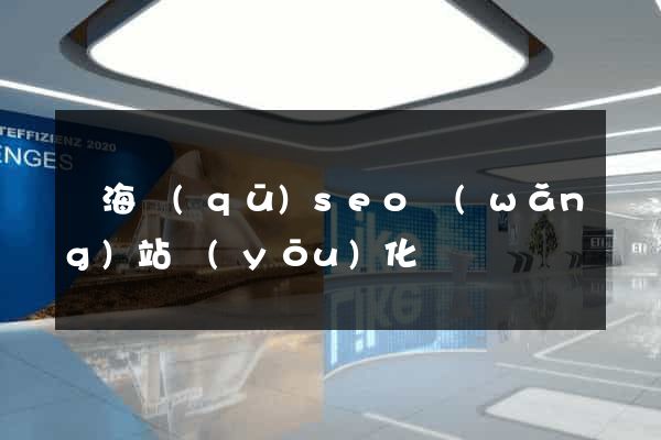 瑤海區(qū)seo網(wǎng)站優(yōu)化