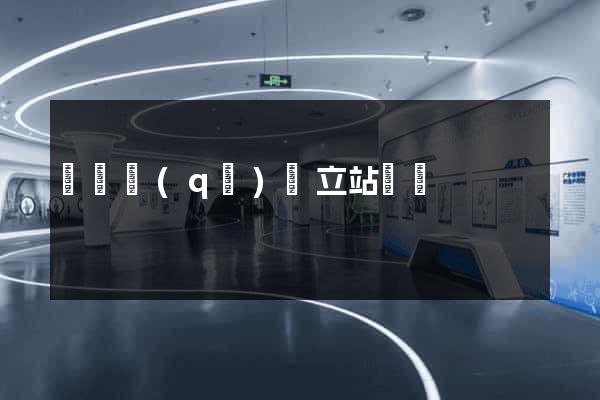 盧灣區(qū)獨立站運營