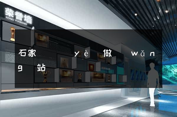 石家莊專業(yè)做網(wǎng)站