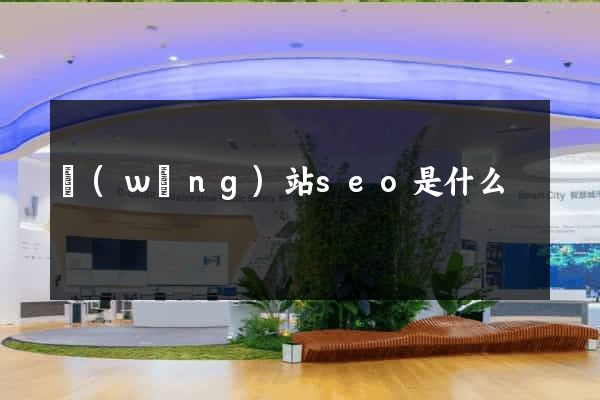 網(wǎng)站seo是什么