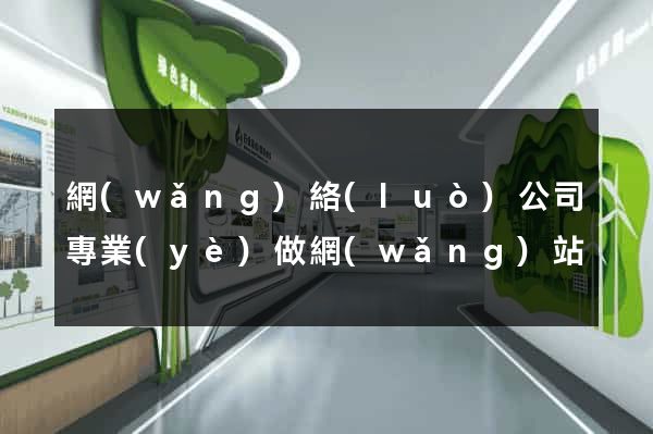 網(wǎng)絡(luò)公司專業(yè)做網(wǎng)站