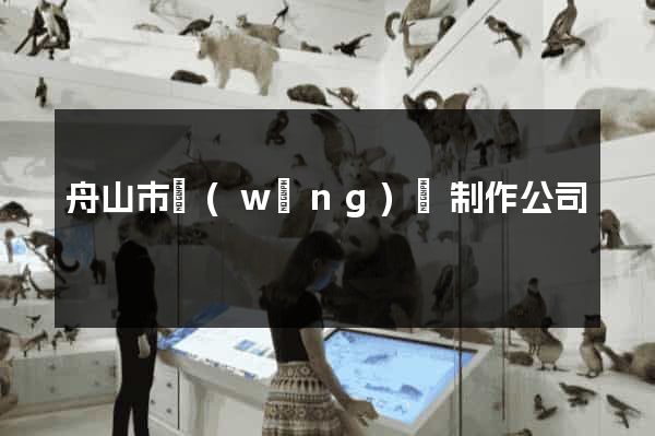 舟山市網(wǎng)頁制作公司