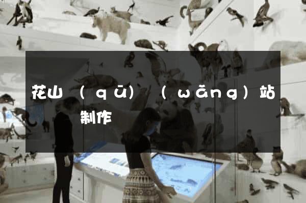 花山區(qū)網(wǎng)站設計與制作