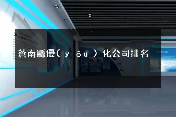 蒼南縣優(yōu)化公司排名