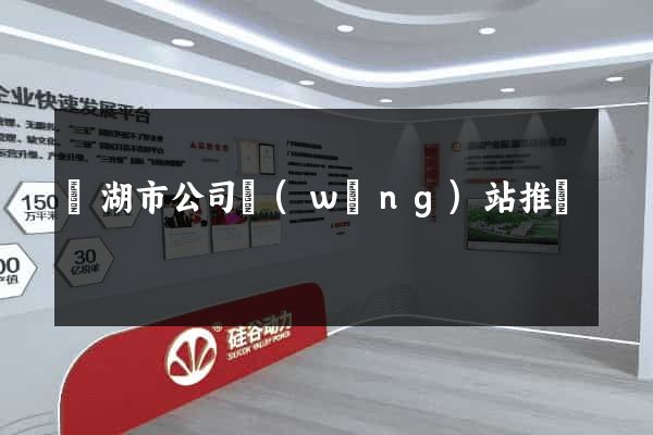 蕪湖市公司網(wǎng)站推廣