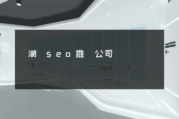 蕪湖縣seo推廣公司 蕪湖縣seo推廣公司