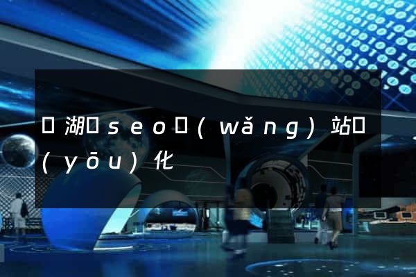 蕪湖縣seo網(wǎng)站優(yōu)化