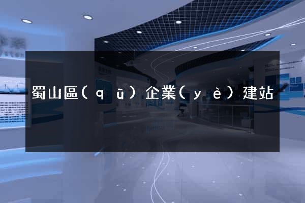 蜀山區(qū)企業(yè)建站