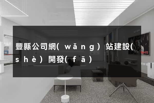 豐縣公司網(wǎng)站建設(shè)開發(fā)