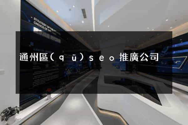 通州區(qū)seo推廣公司