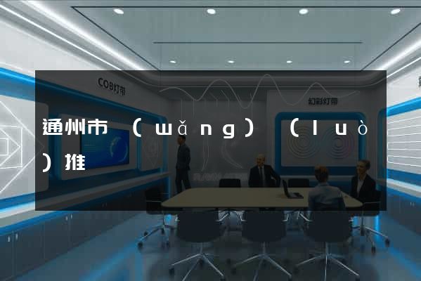 通州市網(wǎng)絡(luò)推廣